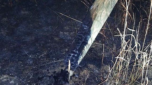 Anız yangınları elektrik direklerinde hasara neden oluyor