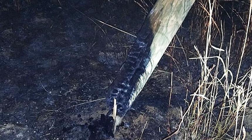 Anız yangınları elektrik direklerinde hasara neden oluyor