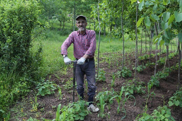 Yüksek riskli bölgeler arasında yer alıyor! Artvin'de kene vakaları artmaya başladı!  G1