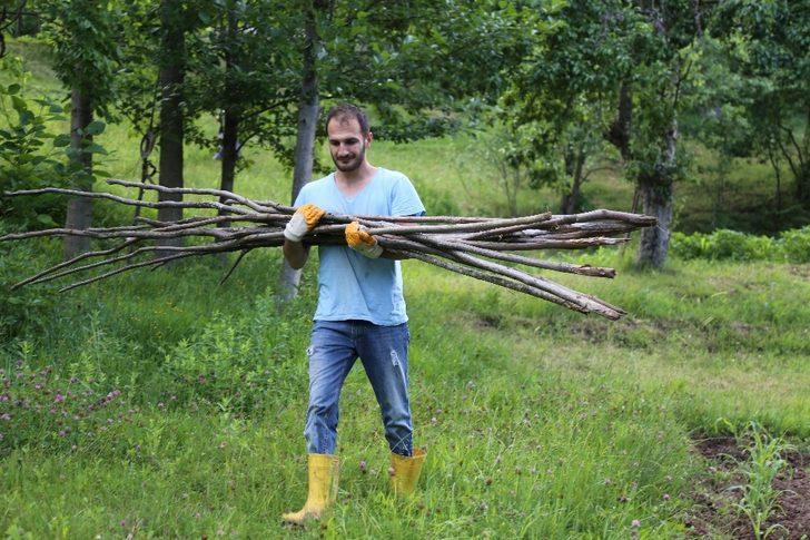 Yüksek riskli bölgeler arasında yer alıyor! Artvin'de kene vakaları artmaya başladı!  G2