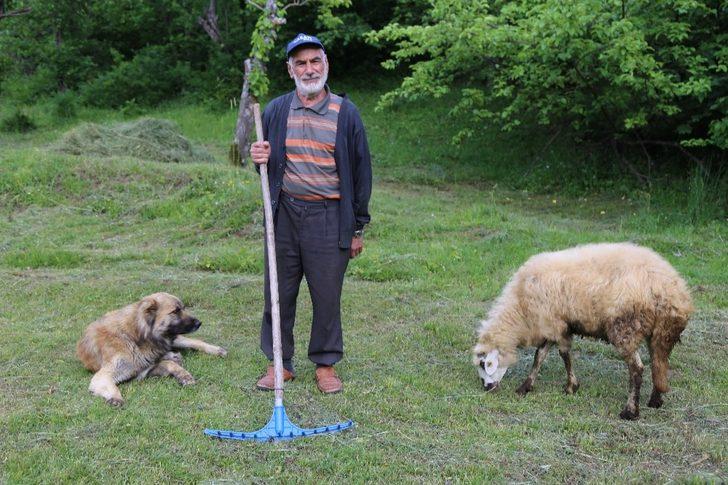 Yüksek riskli bölgeler arasında yer alıyor! Artvin'de kene vakaları artmaya başladı!  G3