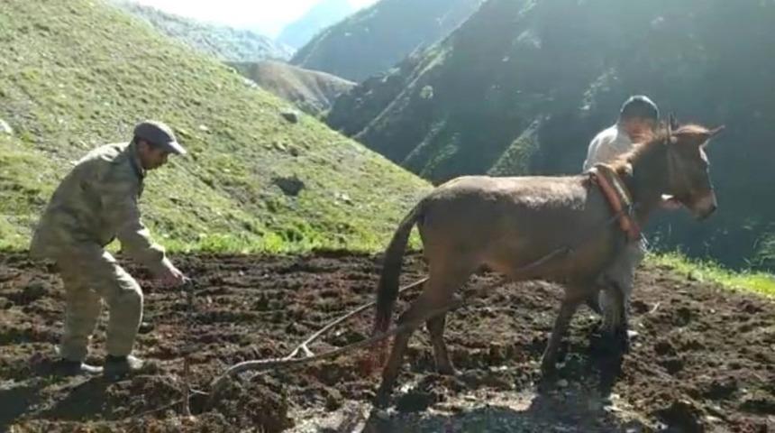 Bing&ouml;l&rsquo;de zorlu tarla mesaisi