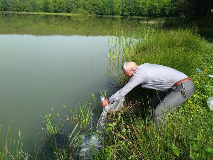 Düzce’deki göletlere 40 bin sazan yavrusu bırakıldı G2