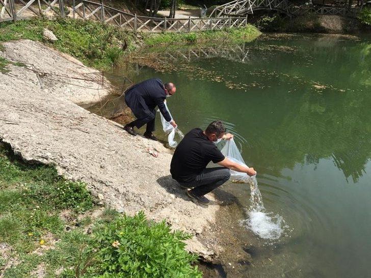 Düzce’deki göletlere 40 bin sazan yavrusu bırakıldı G3