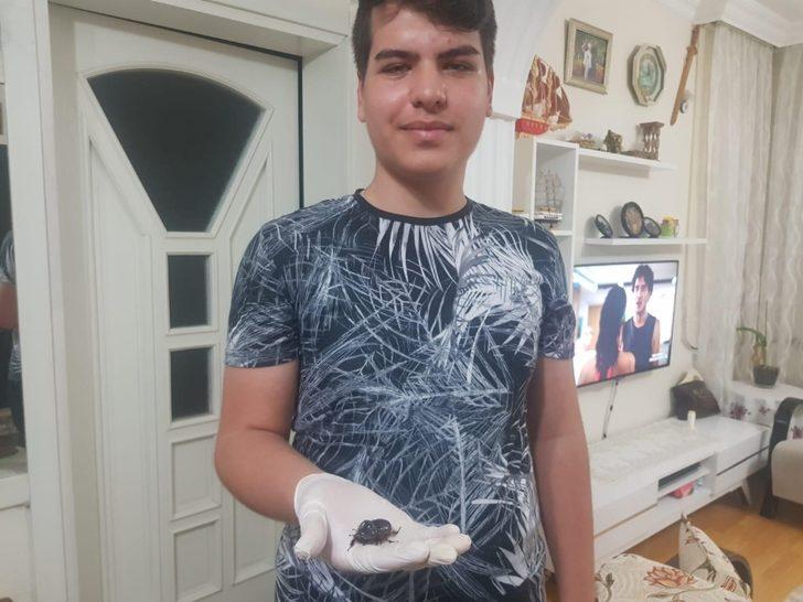 Evinin balkonunda buldu, gözü gibi bakıyor! G2