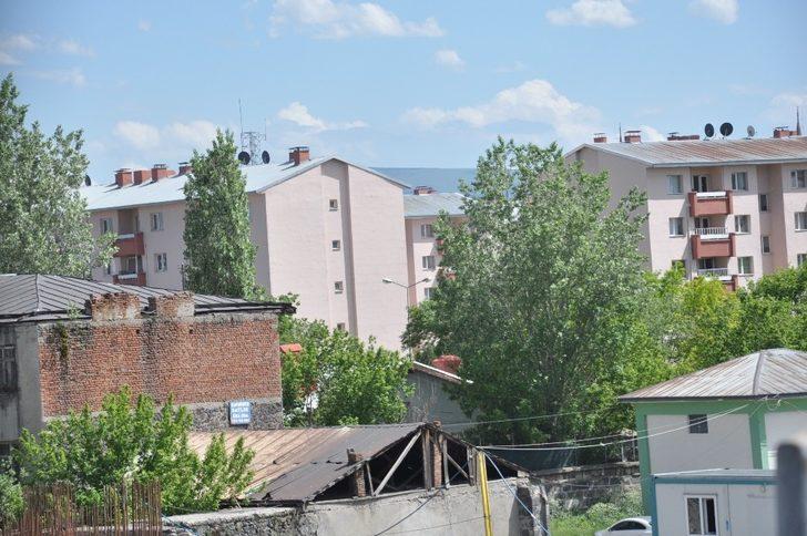 Kars’ta pandemi sürecinde polenli ağaçlar vatandaşları rahatsız ediyor G2