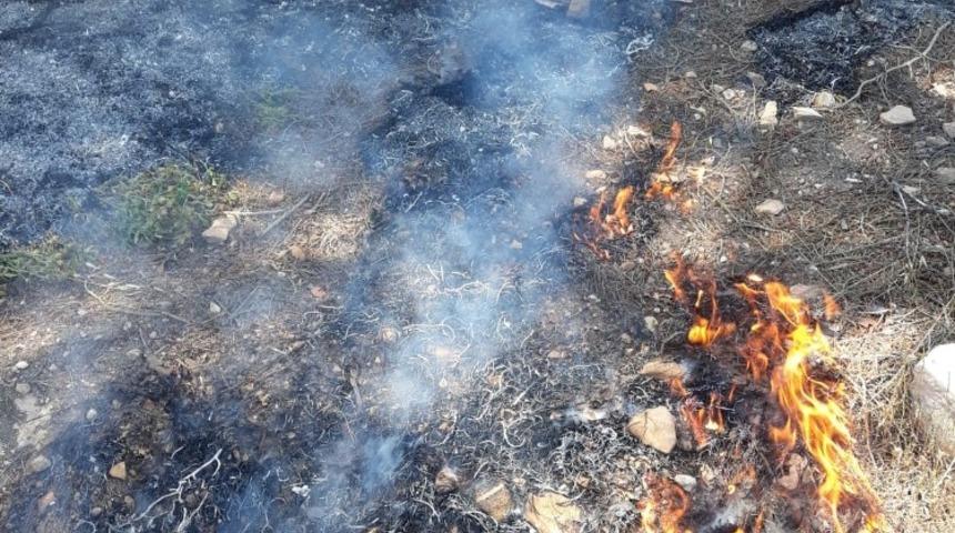 Hassa&rsquo;da orman yangını, iki dekar alan zarar g&ouml;rd&uuml;