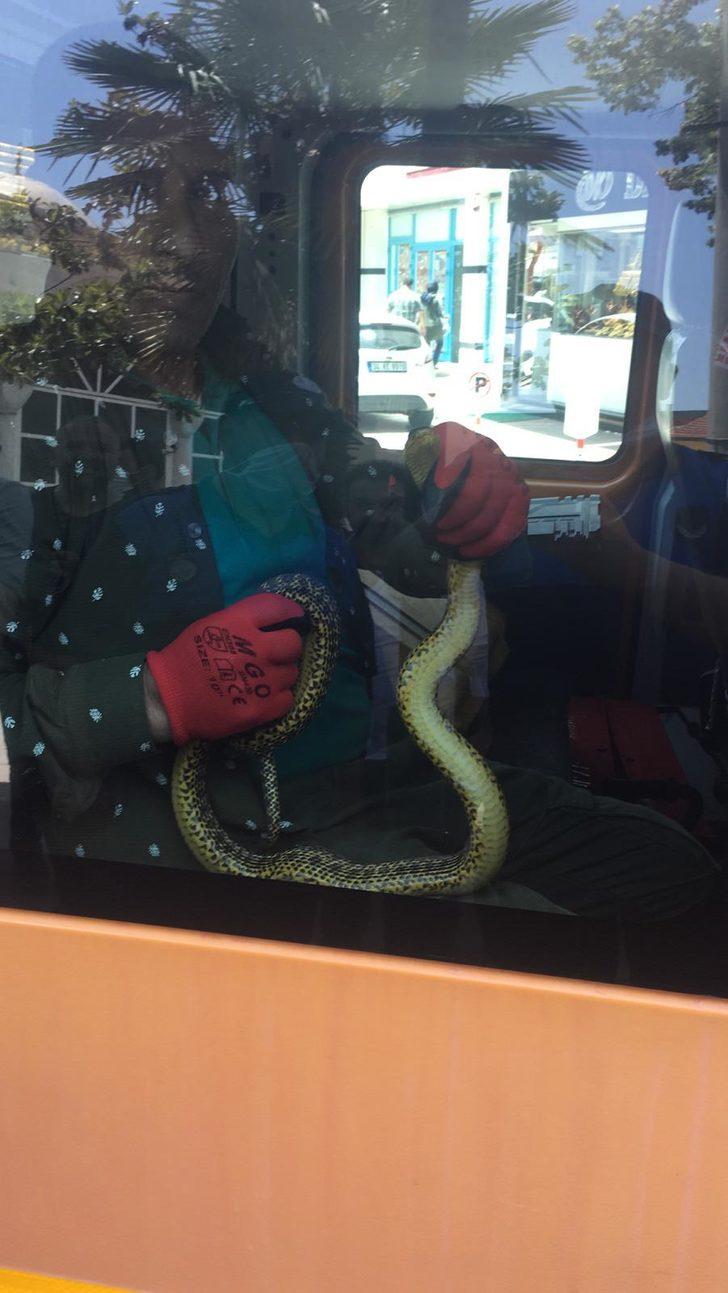 Şaşkınlık veren olay! Motosiklet üzerindeki yılanı omzuna alıp poz verdi G5