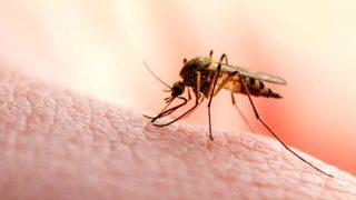 Yeni salgın var bu kez adres farklı