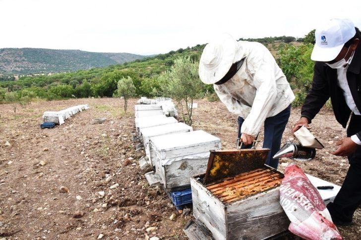 Yunusemre’de arıcılık gelişiyor G2
