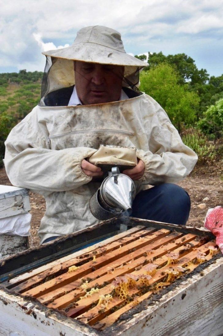 Yunusemre’de arıcılık gelişiyor G4