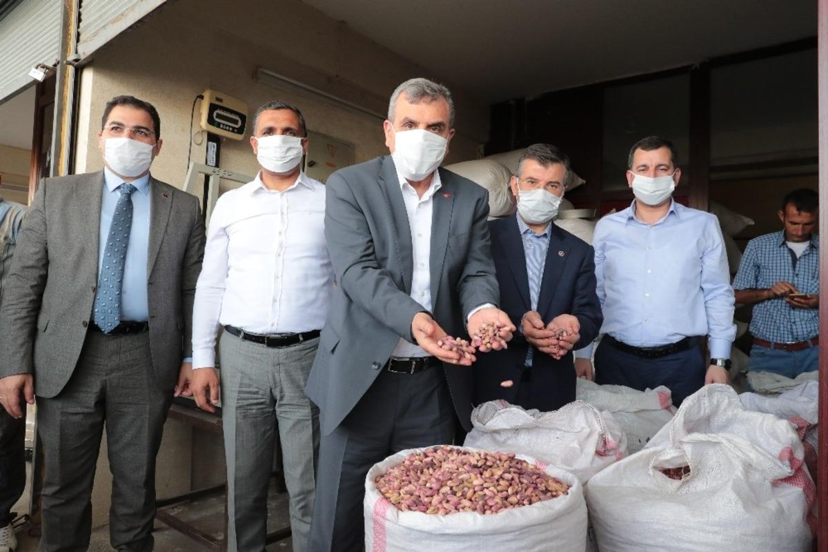 Beyazg&uuml;l Şıracılar pazarında