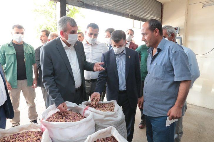 Beyazgül Şıracılar pazarında G4