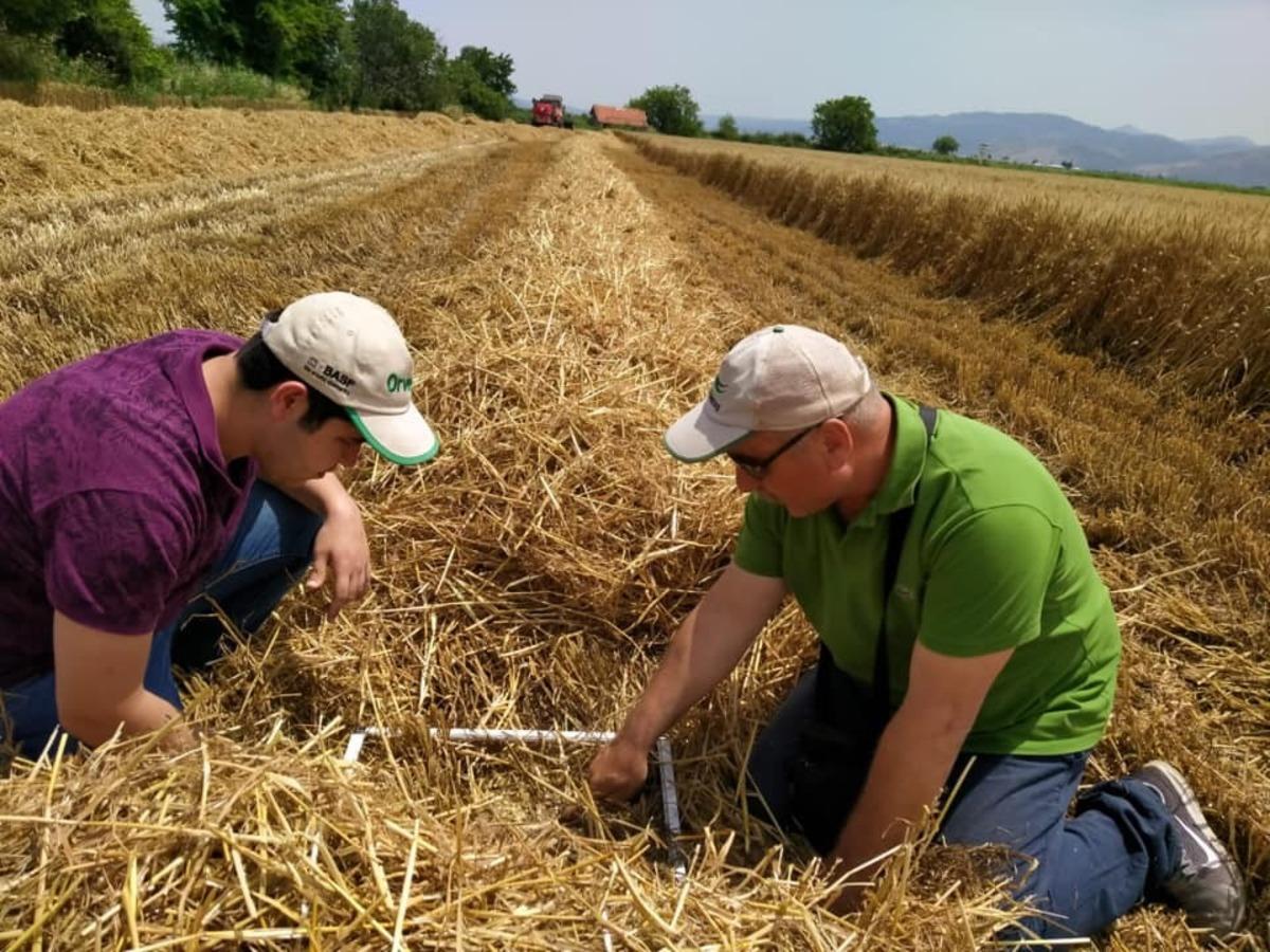 Hasat tespit &ccedil;alışmaları başladı
