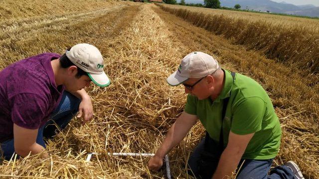 Hasat tespit çalışmaları başladı