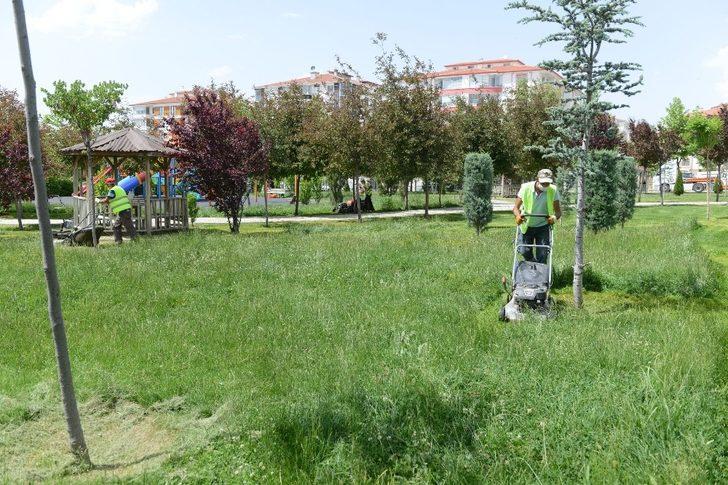 Çorum’daki park ve yeşil alanlar bakıma alındı G4
