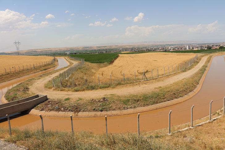 Vali'den vahşi sulama yöntemine tepki! 'Su bedava gelmiyor' G1
