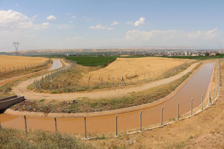 Vali'den vahşi sulama yöntemine tepki! 'Su bedava gelmiyor' G2