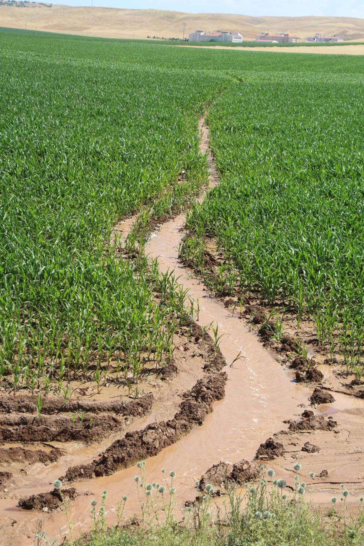 Vali'den vahşi sulama yöntemine tepki! 'Su bedava gelmiyor' G5