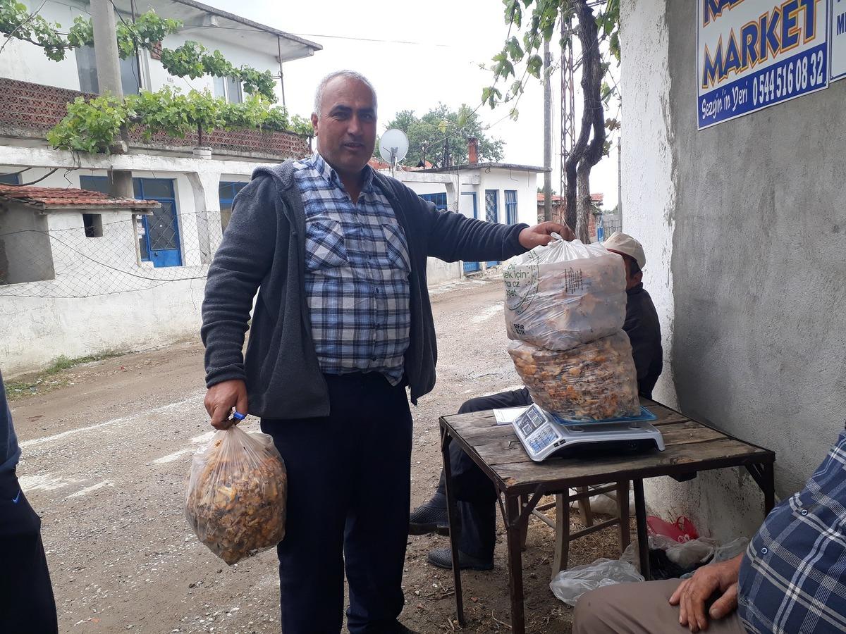 Kaz Dağları'nın 'altın mantarı' k&ouml;yl&uuml;n&uuml;n gelir kapısı oldu