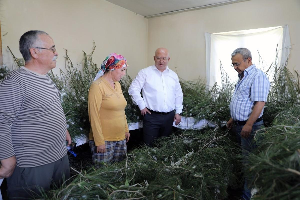 İpek b&ouml;cek&ccedil;iliği, kadın &uuml;reticilerin ellerinde canlanıyor