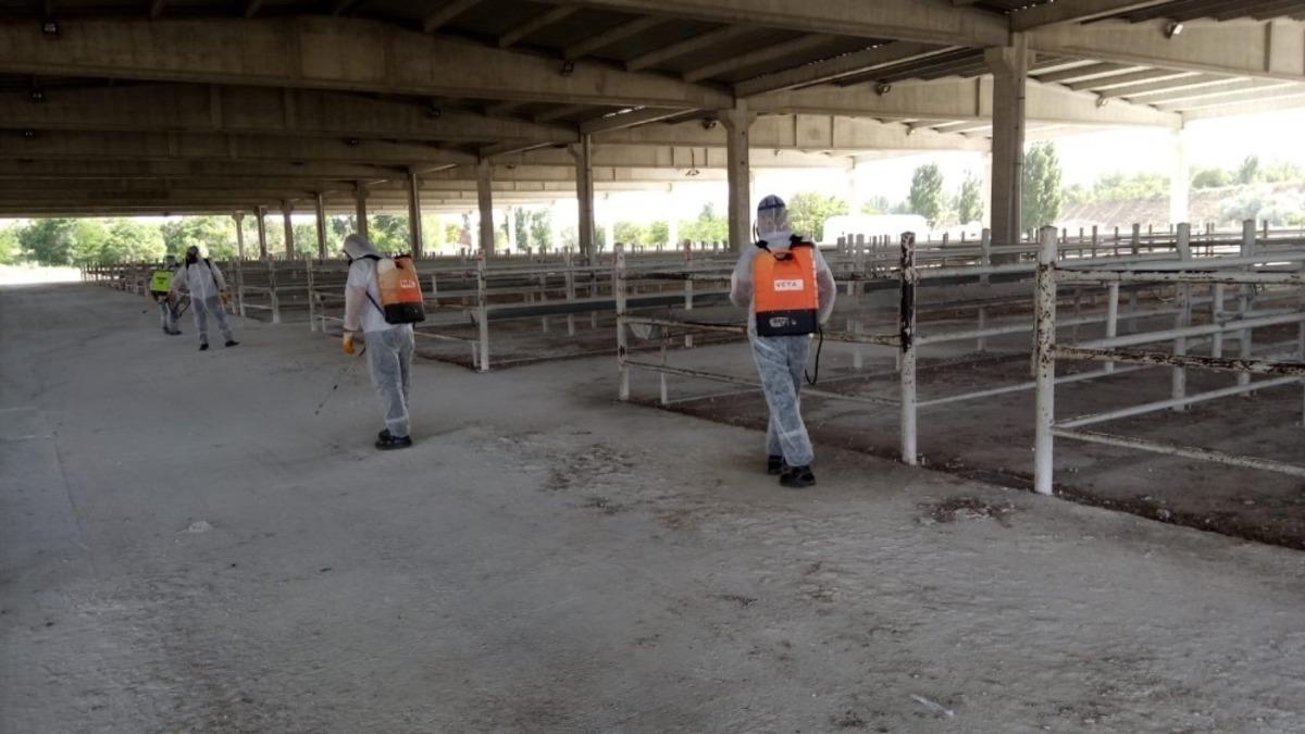 Kırıkkale&rsquo;de hayvan pazarı yeniden a&ccedil;ılıyor