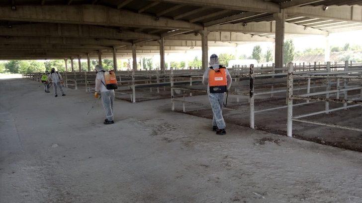 Kırıkkale’de hayvan pazarı yeniden açılıyor G1