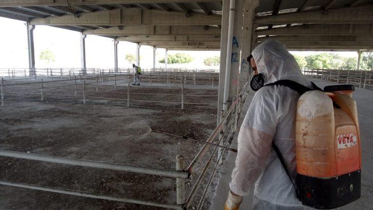 Kırıkkale’de hayvan pazarı yeniden açılıyor G2