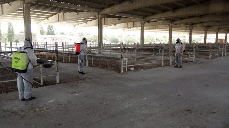 Kırıkkale’de hayvan pazarı yeniden açılıyor G3