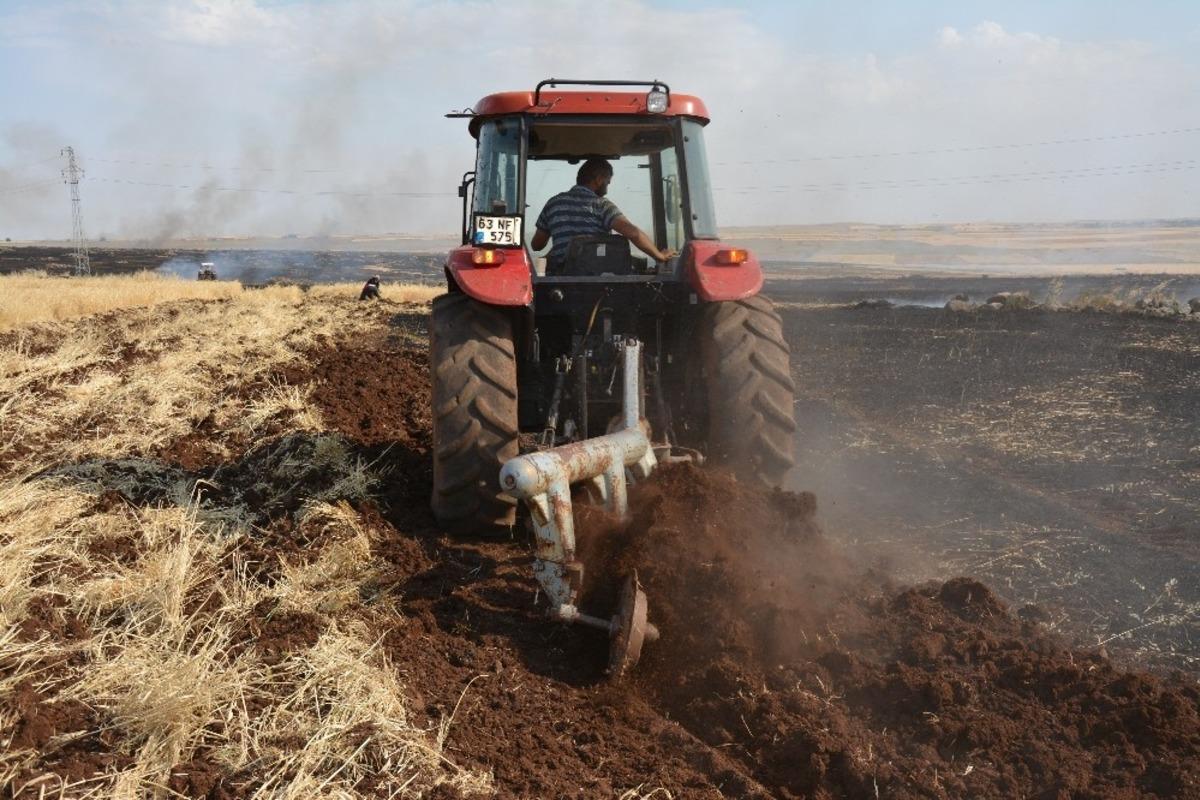 Şanlıurfa&rsquo;da 400 d&ouml;n&uuml;m ekili arazi k&uuml;l oldu