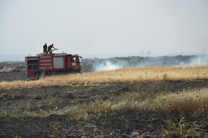 Şanlıurfa’da 400 dönüm ekili arazi kül oldu G2