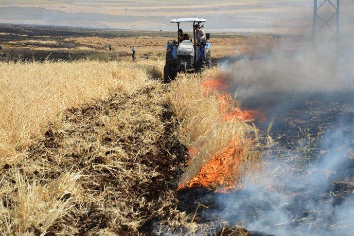 Şanlıurfa’da 400 dönüm ekili arazi kül oldu G3