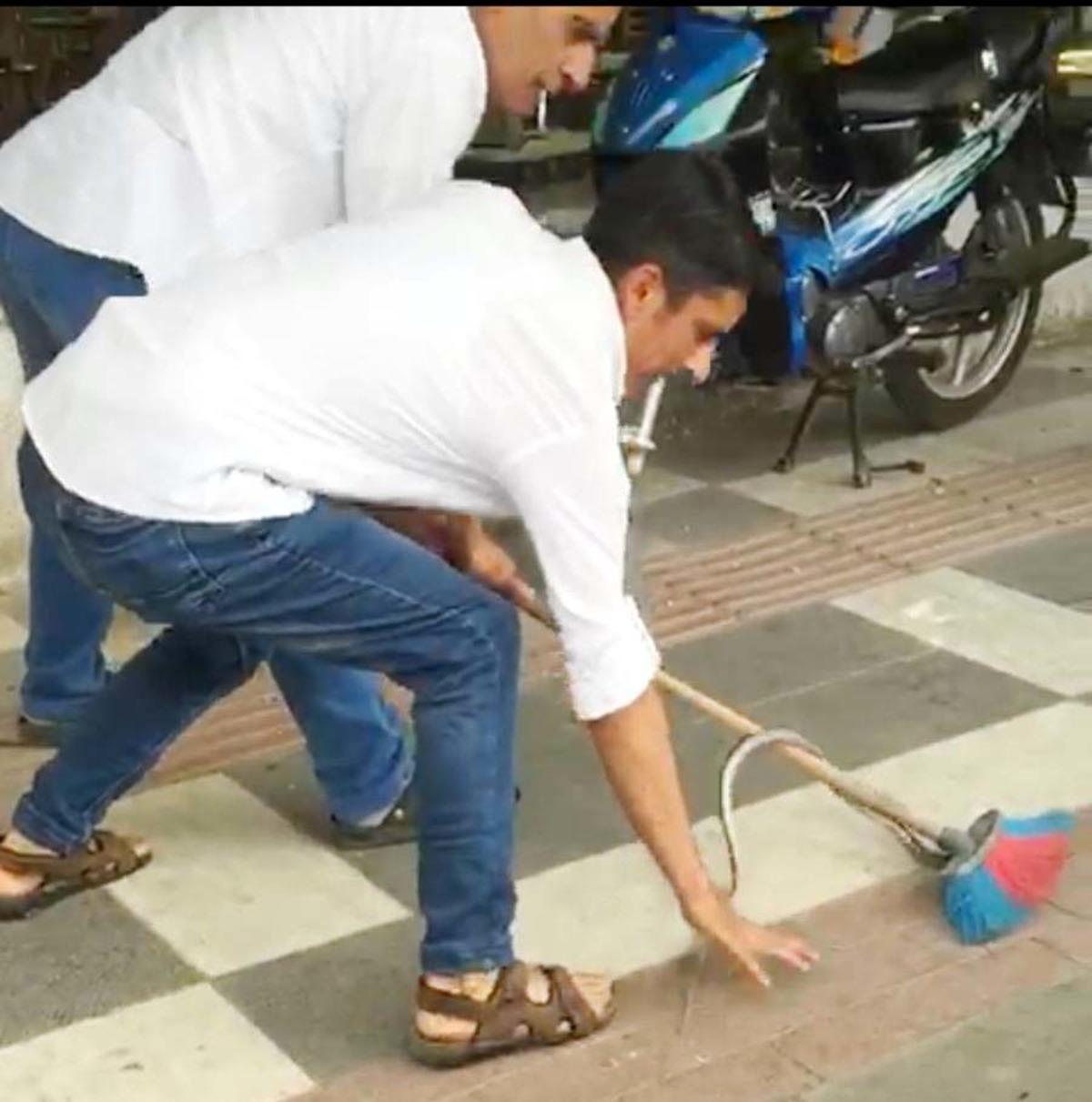 Kahvehanede otururken masaya 'yılan' d&uuml;şt&uuml;