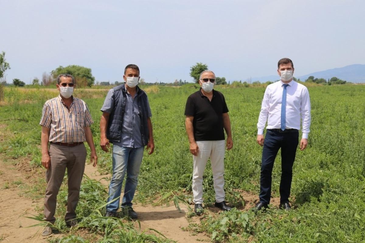 Edremit karpuzu Adana&rsquo;ya rakip olacak