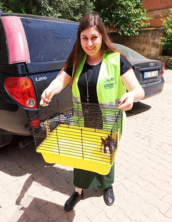 İki kardeş, Cumhurbaşkanı'ndan istedikleri tavşana kavuştu G4