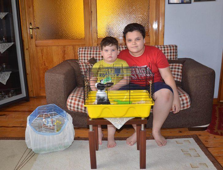 İki kardeş, Cumhurbaşkanı'ndan istedikleri tavşana kavuştu G5