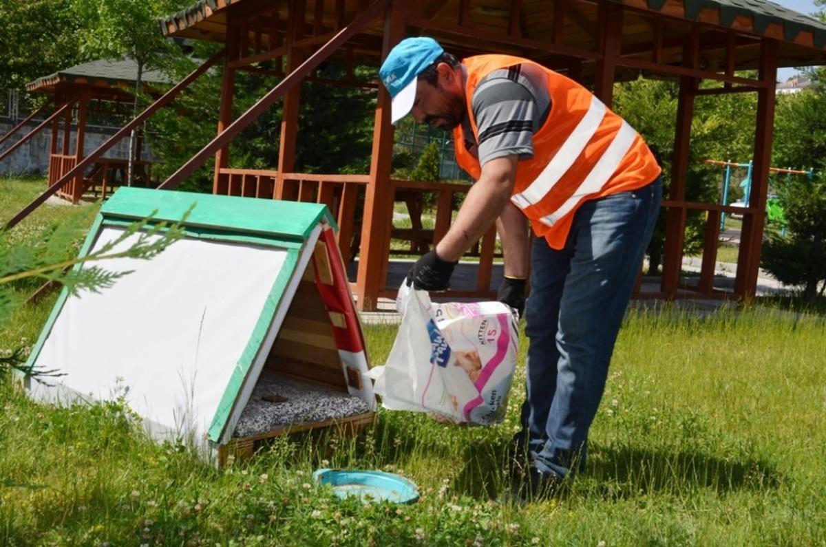 B&uuml;nyan&rsquo;da sokak hayvanlarına d&uuml;zenli mama ve su desteği sağlanıyor