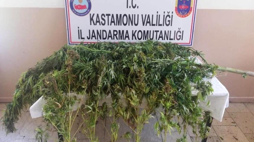 Tosya&rsquo;da uyuşturucu operasyonu: 2 g&ouml;zaltı