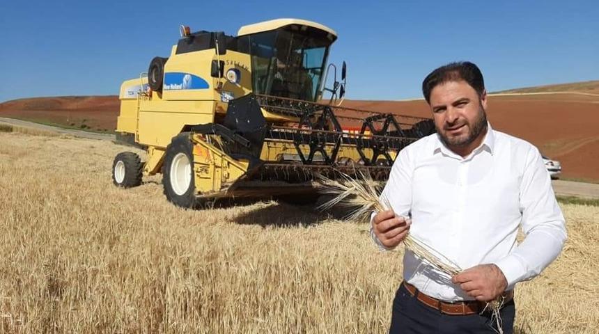 Sungurlu TMO buğday alımına başlıyor