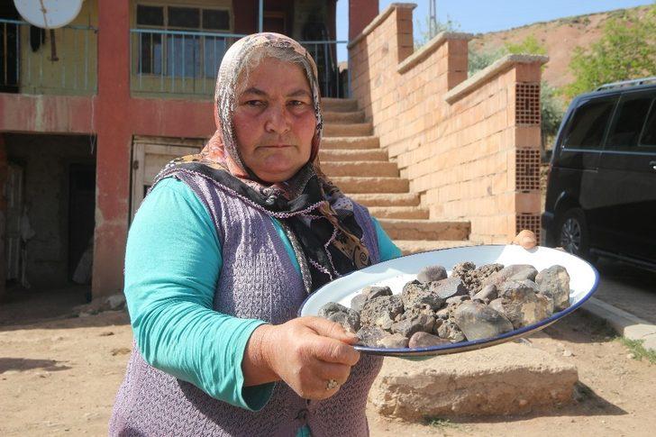 Tarlasından mıknatısla tek tek 45 adet gök taşı topladı G1