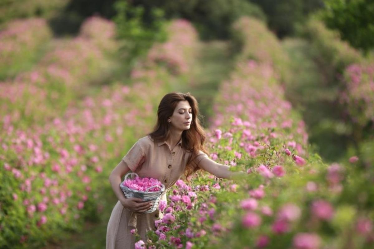 Bu k&ouml;y halkının tamamı g&uuml;l yetiştiriyor