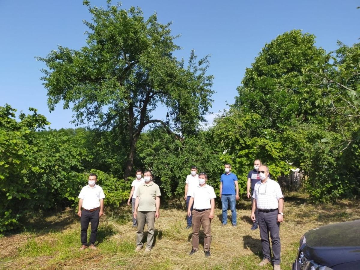 Ordu&rsquo;da t&uuml;ketilen Ordu&rsquo;da &uuml;retilecek