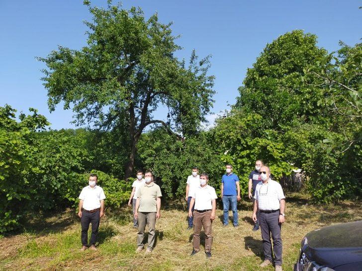 Ordu’da tüketilen Ordu’da üretilecek G1
