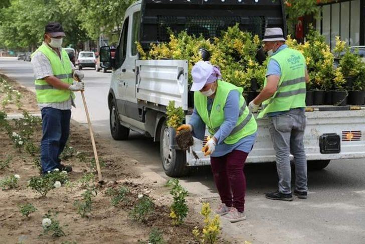 Ordu’da tüketilen Ordu’da üretilecek G3