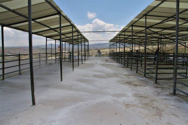 Beypazarı’nda sinek ve uçkunlarla mücadele sürüyor G1