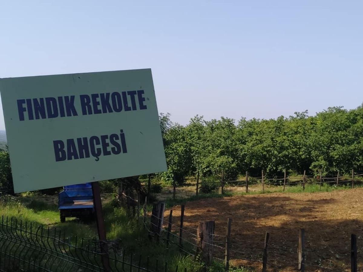 Normalleşme s&uuml;recinde &ccedil;ift&ccedil;iye destek