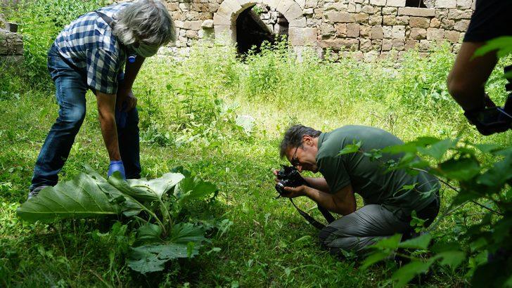 Koramaz Vadisi UNESCO listesinde! Bilim insanları hayran kaldı G1