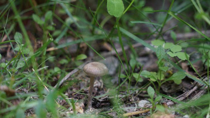 Koramaz Vadisi UNESCO listesinde! Bilim insanları hayran kaldı G3