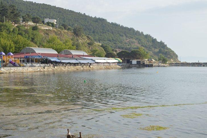 Ocaklar muhtarından yetkililere çağrı G4