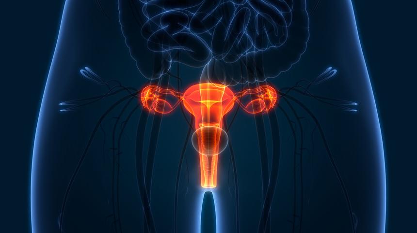 Araştırma: Kadınların kalbi başka, yumurtaları başka erkeği isteyebilir